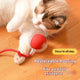 Cat Electric Rolling Ball