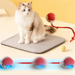 Cat Electric Rolling Ball