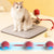 Cat Electric Rolling Ball