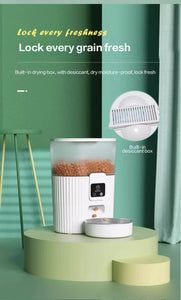Pet Automatic Feeder