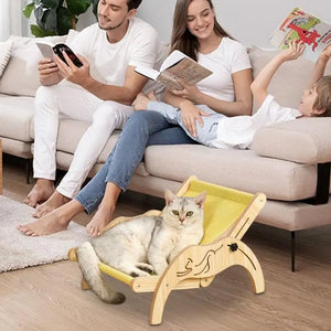 Cat Chair