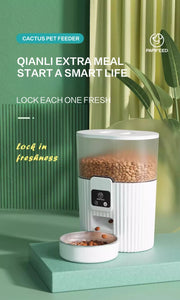 Pet Automatic Feeder