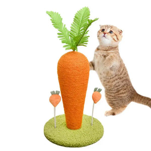 Cat Carrot Scratching