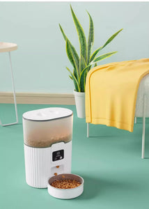 Pet Automatic Feeder