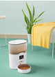 Pet Automatic Feeder
