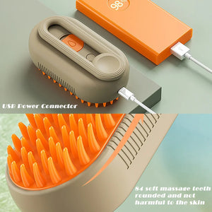 3 in 1 Steam Brush